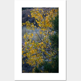 Texas Fall Posters and Art